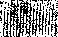 Reduktion auf eine Pixelkantenlänge von 1mm